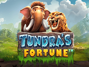 Tundra's Fortune screenshot
